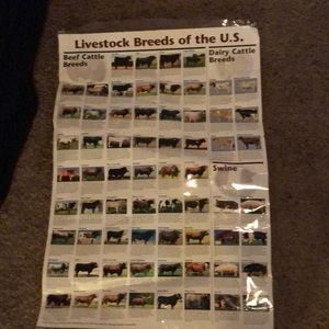 Livestock breeds of the US poster